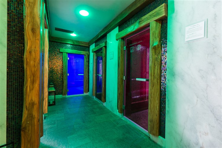 APLEND WELLNESS HOTEL BOROVICA**** - Štrbské Pleso