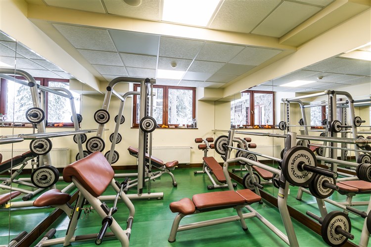 APLEND WELLNESS HOTEL BOROVICA**** - Štrbské Pleso