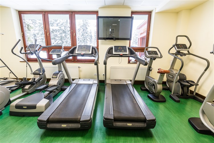 APLEND WELLNESS HOTEL BOROVICA**** - Štrbské Pleso