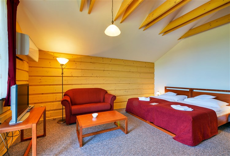 pokoj STANDARD | GREEN INN HOTEL OSTRAVICE - Ostravice