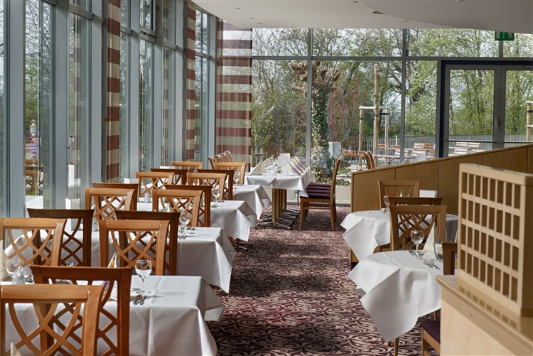 Hotel RAMADA BEI WYNDHAM DRESDEN - restaurace Orangerie | RAMADA BEI WYNDHAM DRESDEN - Drážďany