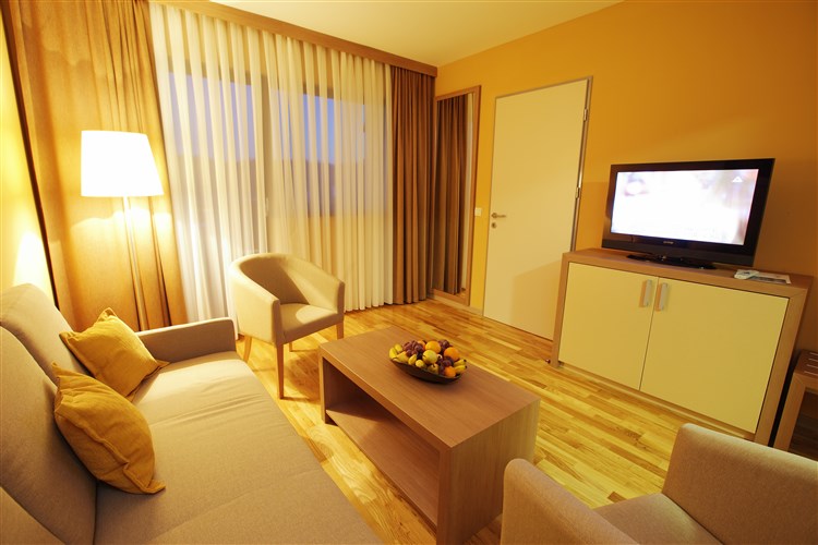 Pokoj s pohledem na televizi a gauč hotelu Breza. | BREZA**** - Terme Olimia