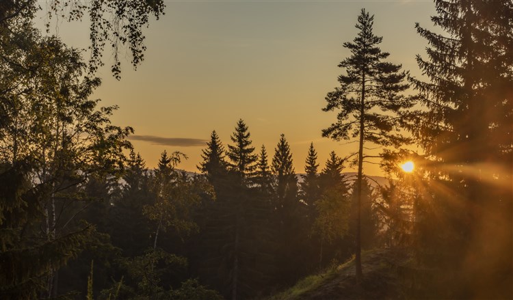 Krušné hory | PYTLOUN WELLNESS HOTEL HASIŠTEJN - Místo