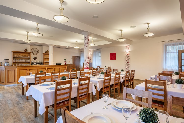Restaurace | PYTLOUN WELLNESS HOTEL HASIŠTEJN - Místo